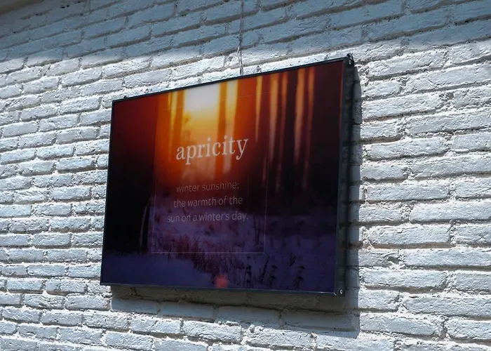 The Apricity Bhimtal