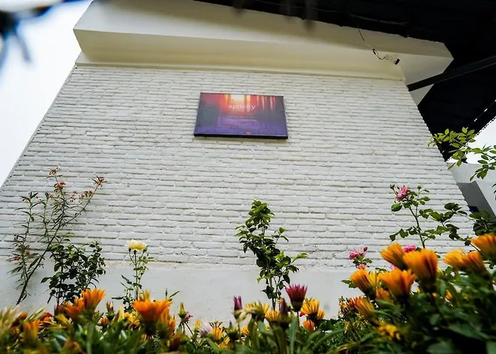 The Apricity Bhimtal